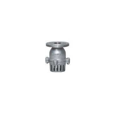 Foot Valve