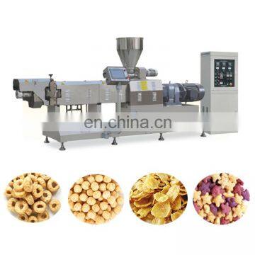 Engineer Installation Twin Screw Extrusion New Small Snacks Food Manufacturing Machines photo-3