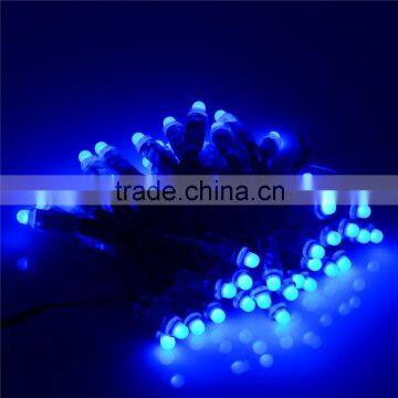 Dahosun DC 12V 12mm Diffused Digital Led Pixel String Addressable Dream Color Christmas LED Module Waterproof IP68 Round photo-3