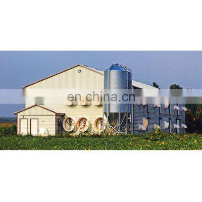 Steel chicken poultry farm design building