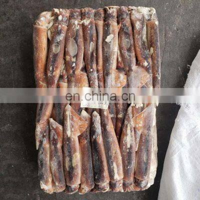 frozen argentine illex squid illex argentina whole round