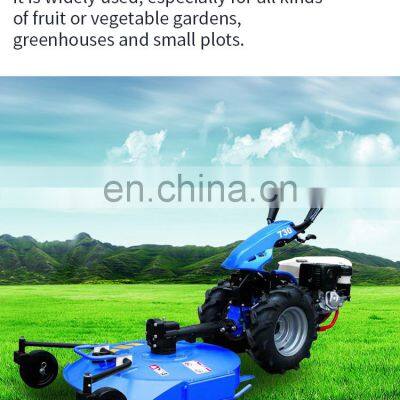 BCS Famosa Marca Italiana, Cultivador 738 Multifucional 2021 photo-4