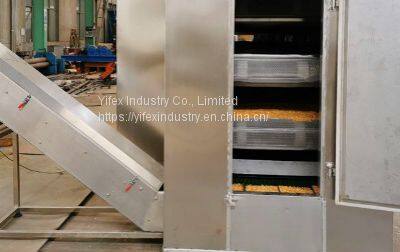 DWT Series Belt Dryer for Vegetable Dehydration