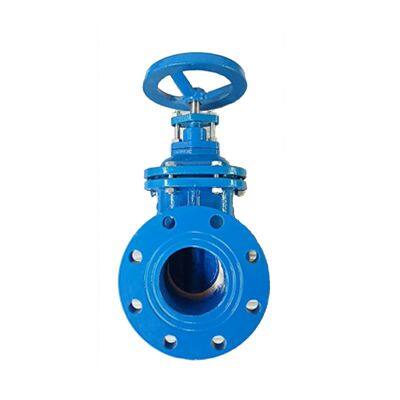 DIN F4 Metal Seat Gate Valve for Corrosive Environments: 2