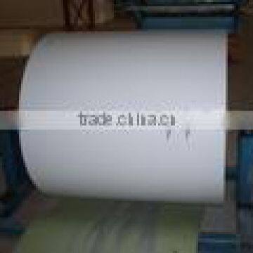 prepainted galvanized STEEL COIL (hdgi and ppgi)