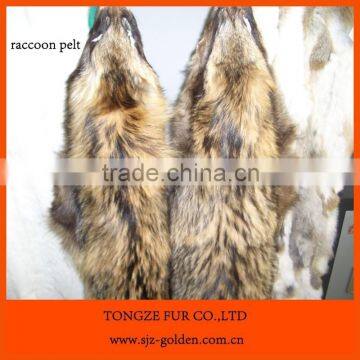 tanned raccoon fur skin