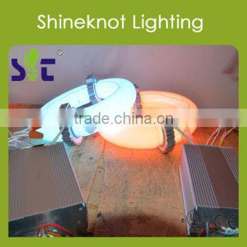 Commercial Project Indoor Grow Light Induction Lamps