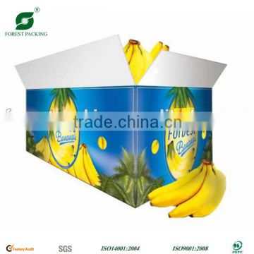 NEW DESIGN HIGH QUALITY BANANA BOXES FRUIT FRESH BANANAS