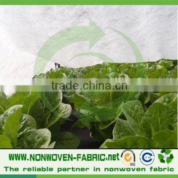 polypropylene 100% spunbond non woven fabric for frost protection garden plant cover