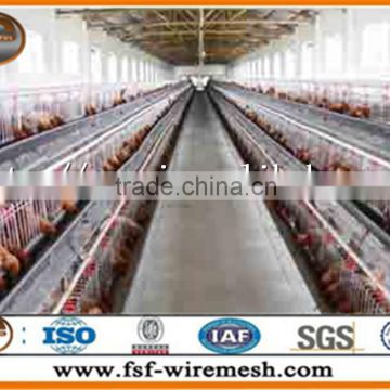 Anping factory Chicken Cage for live poultry farming