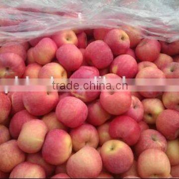 China Yantai Fuji Apple Qixia Apple