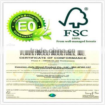 Pine Birch Logs FSC WOOD photo-6