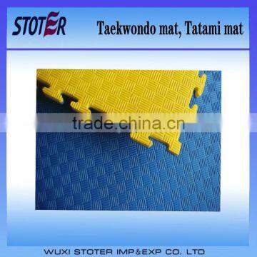 2014 new design EVA Taekwondo mat/cheaper tatami mat/EVA gym mat