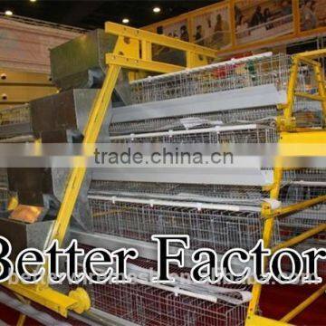 Hot-sale professional Better Brand chicken poultry feeding machine for Uganda