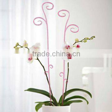 Orchid flower support stick and stake