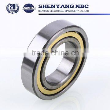 Germany Standard Cylindrical Roller Bearing With Competitive Price Bearing Size photo-6