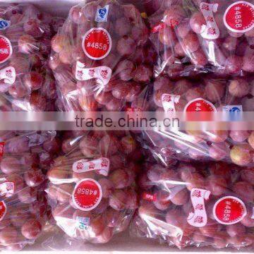 2012 new crop fresh grape in china ,yunnan grape,(Bangladesh market)