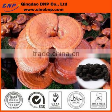 BNP Supply High Quality Reishi Mushroom Capsule