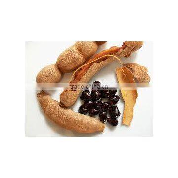 Tamarind Concentrate