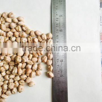 Indian chickpeas