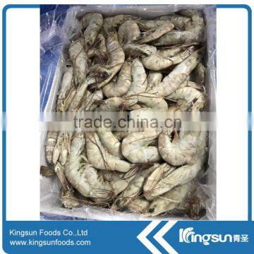 Frozen shrimp HOSO Semi-IQF