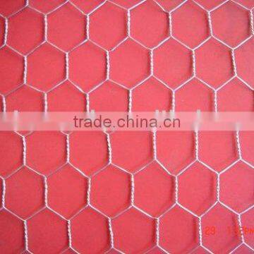 Hexagonal Wire Netting