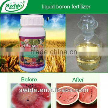 fertilizer for watermelon