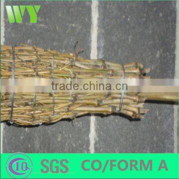 WY-CC025 2016 grass bamboo brooms