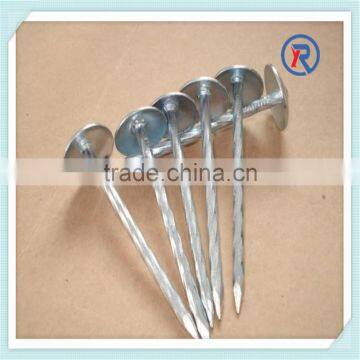 Hot Dip Galvanized Umbrella Head Roofing Nails With Smooth Shank or Twisted Shank photo-6