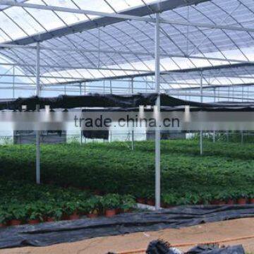 Agricultural greenhouse inside sunshade