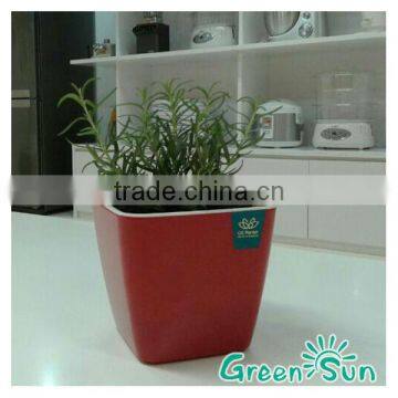 2014 Mini Self Watering Plastic Pots photo-2