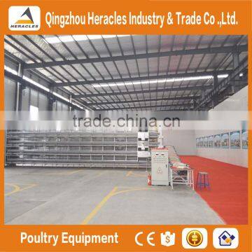 Heracles Company Price A Type Bird Cage--poultry Cage Layer Chickens photo-3