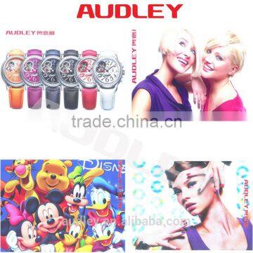 Audley S8000 Professional Factory 2400dpi Large Format Vinyl Plotter With DX5 Head photo-5