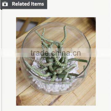 Artificial Table Decoration Small Plants Preserved Plant for Office Decoration Artificial Mini Bonsai Decoration photo-5