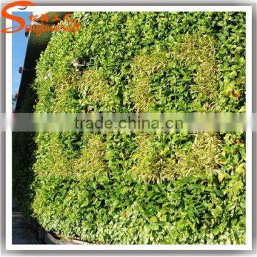 Latest Design Garden Vertical Green Wall Factory Price Grass Wall Decor Decoration Beautiful Fake Grass for Crafts photo-6