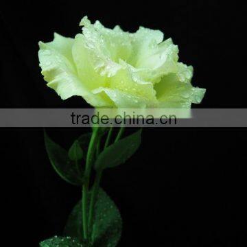 Name of Decorative Flower Eustoma Wedding Lisianthus Wholesale From Yunnan