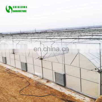 Classic Commercial Plastic Film Greenhouse/Garden Greenhouse for Sale photo-6