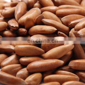 Stainless Steel Pine Nuts Empty Shell Remover Cedar Nut Wind Screening Machine