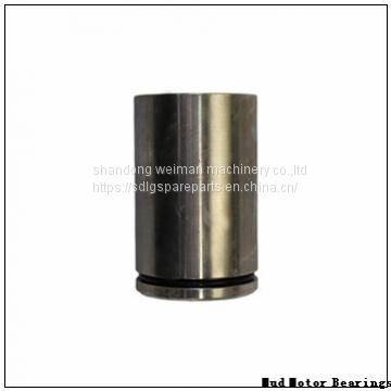 Mud Motor Bearings