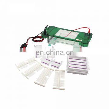 SPCT Universal Lab And Medical Horizontal Electrophoresis Machine