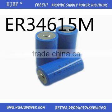 D size 3.6V ER34615M power type lithium battery