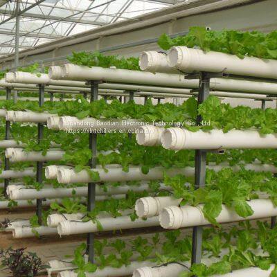 Hydroponic Chillers