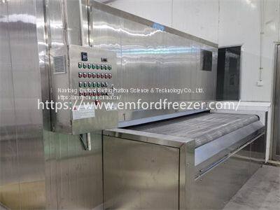 Mesh Belt Tunnel Freezer for Shrimp, Poultry, Meat, Pastry, Pasta, French Fries photo-3