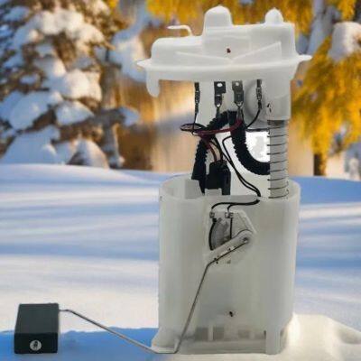 DQZCH Fuel Pump Assembly for Peugeot 301 307  3008 Picasso 206 Elysee
