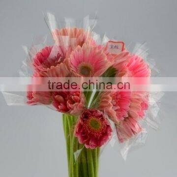 Quality Honey home decoration flower gerbera