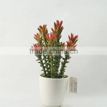 Best selling high simulation green cheap artificial succulent plants with melamine pot