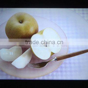 18000K Color 40W 800 x 480 Native Resolution TFT LCD Projector LED photo-3