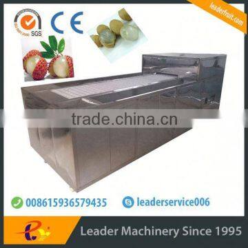 Big capacity lychee juicing machine website:leaderservice006