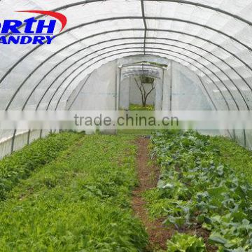 vegetable growing greenhouse from big greenhouse manufacturer