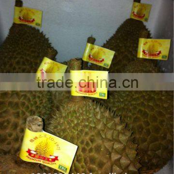 Malaysia Fresh Musang King Durian